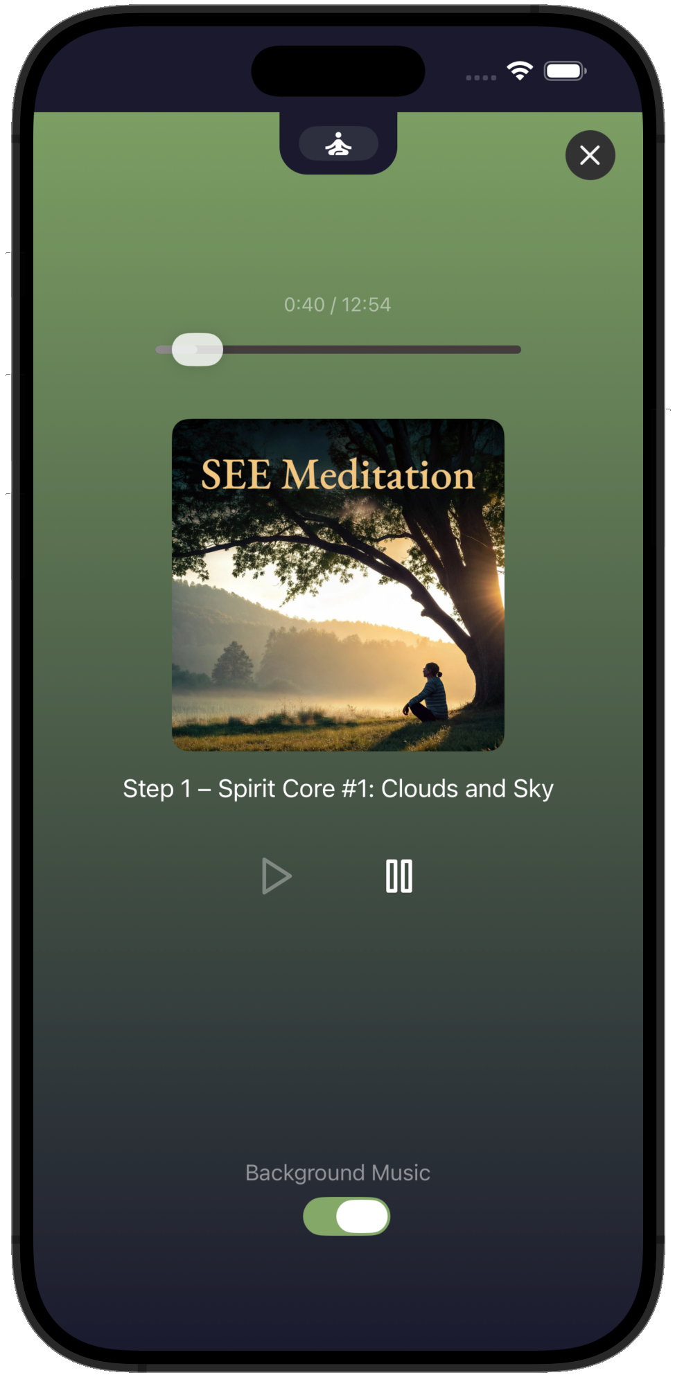 SEE Within App